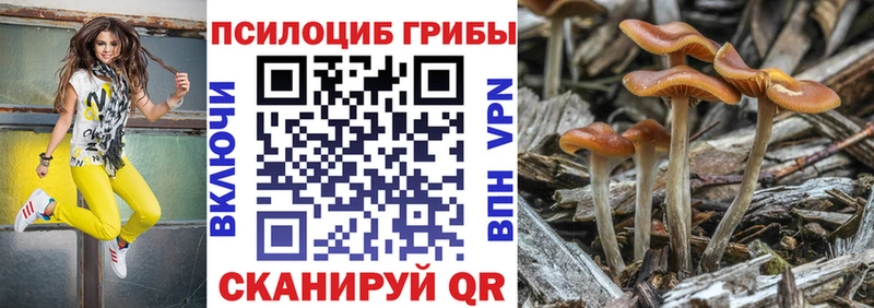 Купить закладки  Пущино  Псилоцибиновые грибы Magic Shrooms 